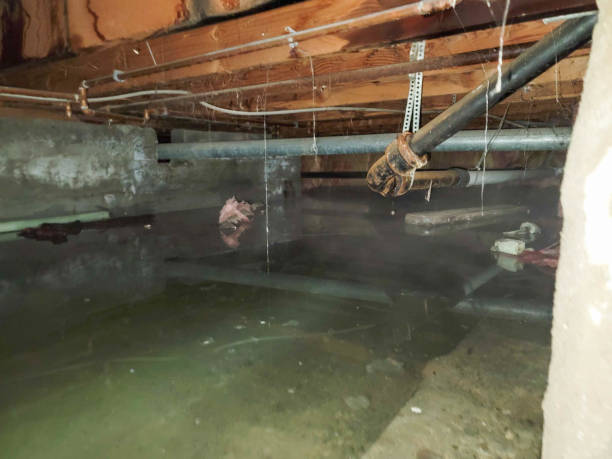 Best Flood damage cleanup  in Boiling Springs, PA