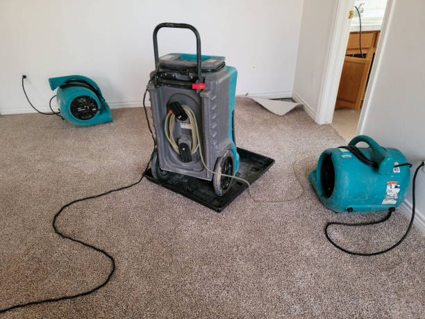 Best Fire Damage Restoration  in Boiling Springs, PA