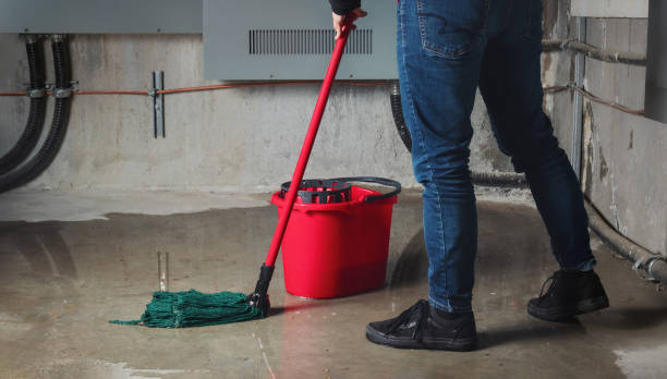 Best Water damage restoration near me  in Boiling Springs, PA
