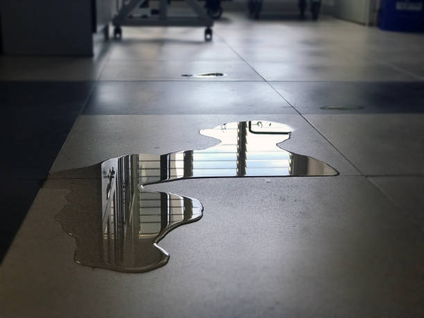 Best 24-hour water damage restoration  in Boiling Springs, PA