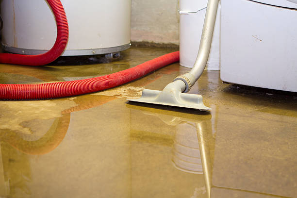 Best Water damage contractors near me  in Boiling Springs, PA