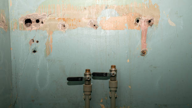 Best Water damage restoration cost  in Boiling Springs, PA