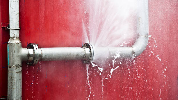 Best Basement water damage restoration  in Boiling Springs, PA