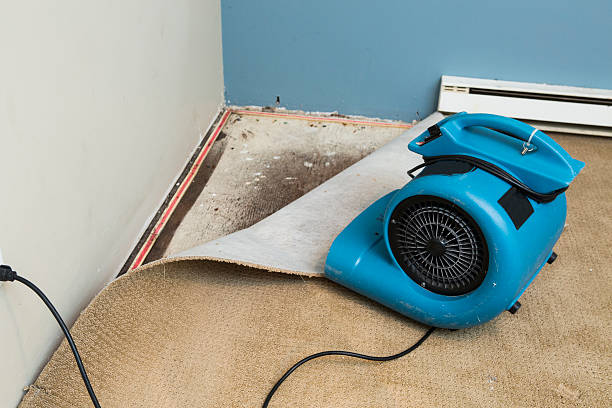 Best Local water damage restoration  in Boiling Springs, PA